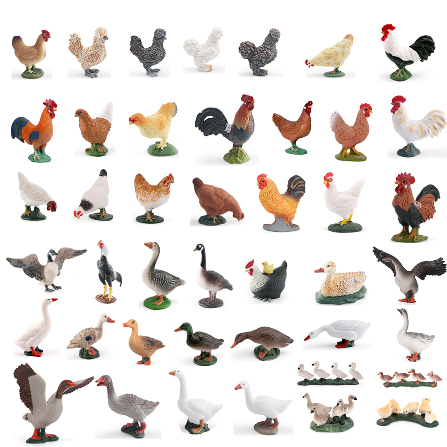 Simulation Farm Poultry Animal - Home Improvement Kids 评论和价格